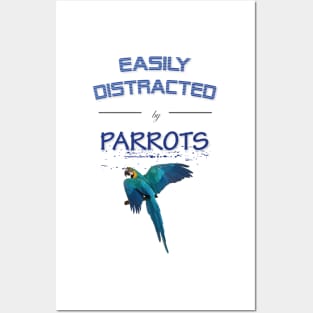 Easily distracted by parrots Posters and Art